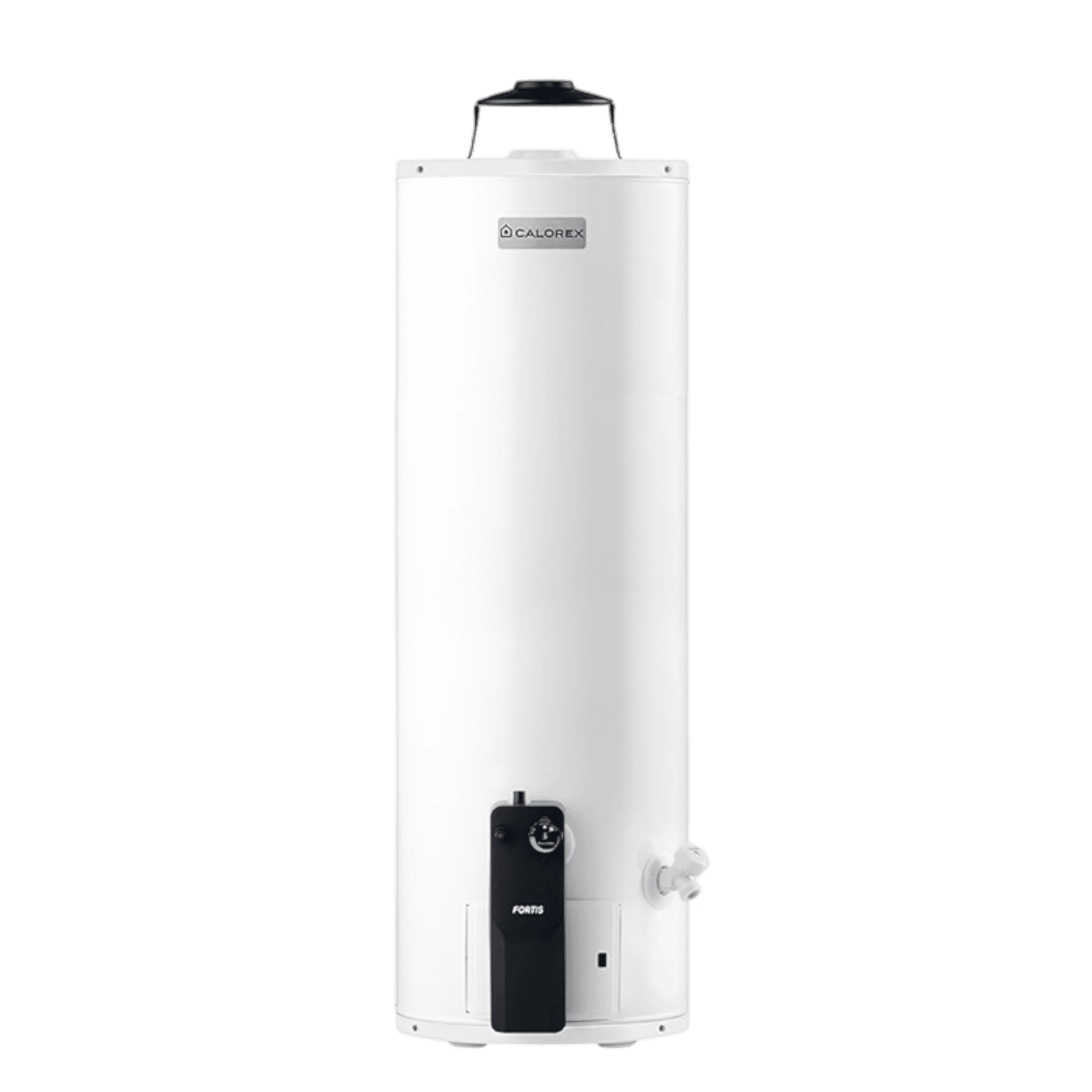 Boiler Depósito 106 LT Gas Natural 3 Servicios G30 3270063 Calorex Fortis